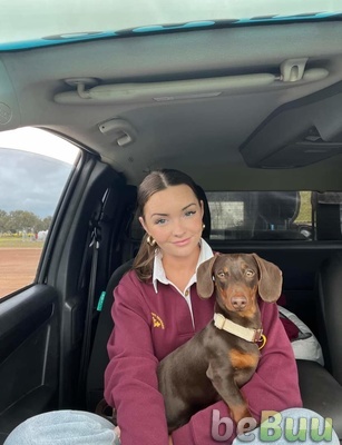 Hi everyone!  Bean & I are looking for a room to rent, Perth, Western Australia