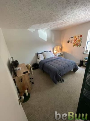 Hi! My roommate will be moving out at the end of our lease, Indianapolis, Indiana