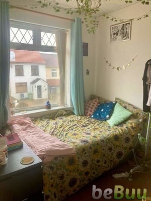 Roommate, Bristol, England