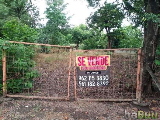 Se vende terreno de 4 hectáreas, Tapachula, Chiapas