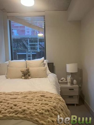 I have a private room and bathroom in 611 apartments, Ann Arbor, Michigan
