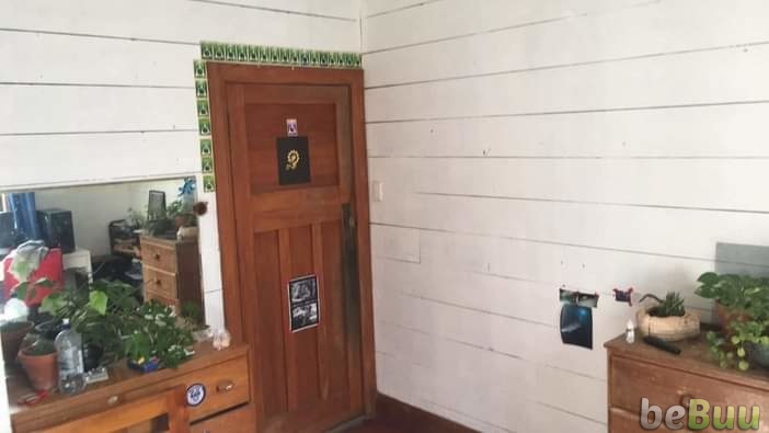 Room for Rent in Hataitai, Wellington, Wellington