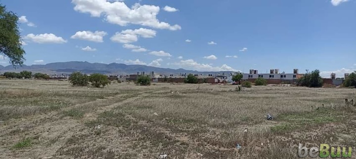 Gran oportunidad, San Luis Potosí, San Luis Potosí