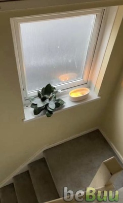 Private room for rent, Newport, Wales