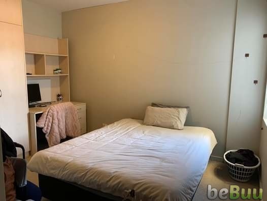 Room available in Central Welly for $255 incl. expenses, Wellington, Wellington