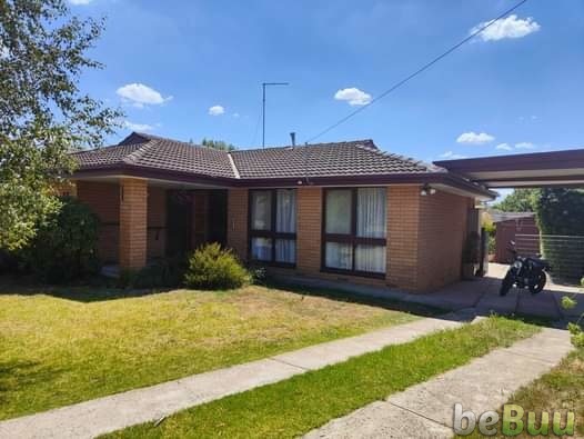 Looking for a new housemate!, Geelong, Victoria