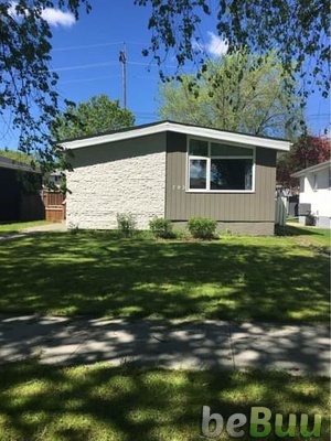 House to Rent, Winnipeg, Manitoba
