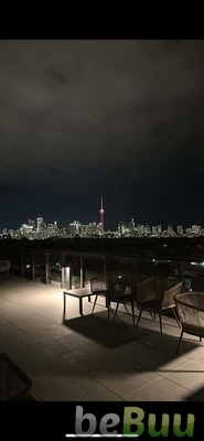 Roommate, Toronto, Ontario