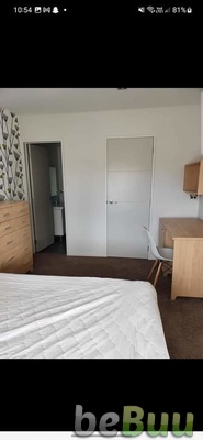 Roommate, Dunedin, Otago