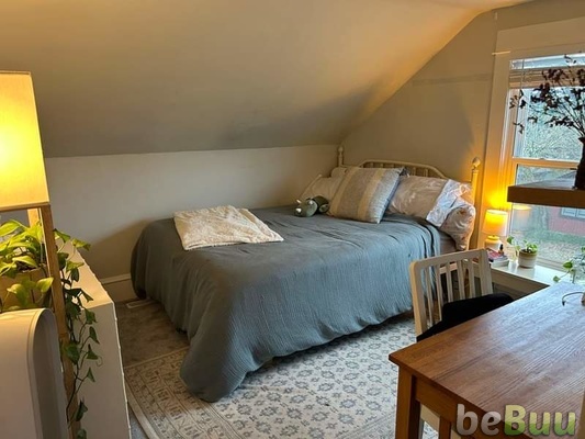 Two rooms available to sublet in a 6 bedroom, Seattle, Washington