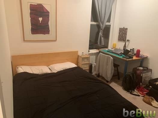 $920/Month Room Avaible In The Mission! Hello, San Francisco, California