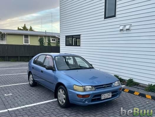 1995 Toyota Corolla, Auckland, Auckland