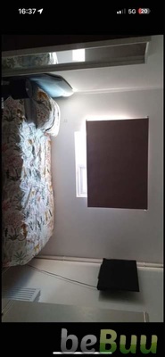 Single bedroom for rent, Reading, Pennsylvania