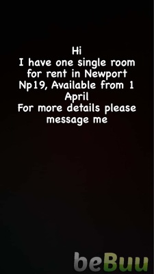 One single room for rent available form 1 April, Newport, Wales
