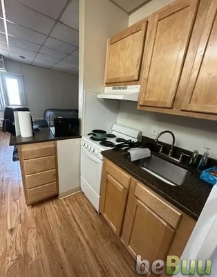Studio 1 Bath - Apartment SUMMER SUBLEASE FROM MAY 1-August 24, Ann Arbor, Michigan
