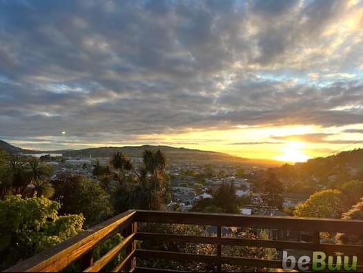 Boarder wanted.  I have a room up for rent, Dunedin, Otago
