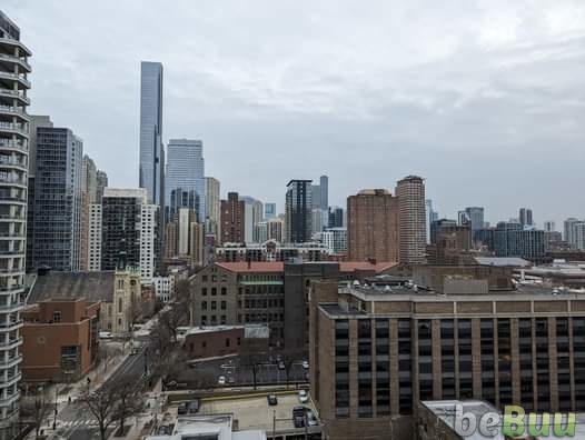 Flat to Rent, Chicago, Illinois