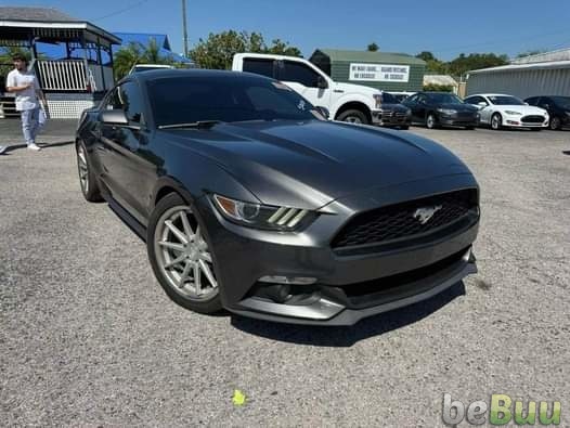 2015 Ford Mustang · EcoBoost Coupe 2D, Tampa, Florida