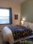 Looking for a female to sublet my room starting January 1., Chicago, Illinois