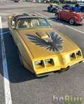 1979 Pontiac Firebird · Coupe · Driven 86, Dallas, Texas