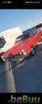 1967 Pontiac GTO, Dallas, Texas