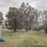 Great location on the river. Tidy home. The room is private, Dubbo, New South Wales