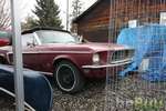 1968 Mustang Convertible, Boise, Idaho