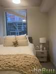 I have a private room and bathroom in 611 apartments, Ann Arbor, Michigan
