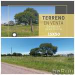 Vendo terreno en colonia benitez 15x50 $10.000.000, Resistencia, Chaco