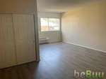 Available Now! Cool studio apartment in Hollywood.  RENT: $1, Los Angeles, California