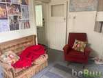 Hi!  We have a room available ASAP! in Mt Cook, Wellington, Wellington