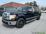 2010 Ford F150, Spring Hill, Florida