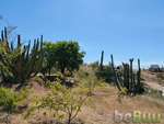 Se vende terreno en san Pedro, La Paz, Baja California Sur