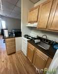 Studio 1 Bath - Apartment SUMMER SUBLEASE FROM MAY 1-August 24, Ann Arbor, Michigan