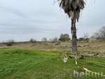 One Acre Land For Sale. Water, Corpus Christi, Texas