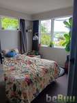 Looking for someone to fill a room in our 4 bedroom home, Wellington, Wellington