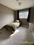 ISO another roommate! Move in date of may 1st. Private bedroom, Red Deer, Alberta